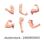 Set collection of male biceps muscles. Flexing biceps, strong arm. Flat vector illustration style.