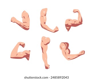 Set collection of male biceps muscles. Flexing biceps, strong arm. Flat vector illustration style.