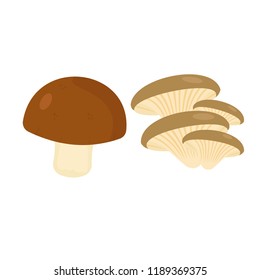 set collection mushroom vector illustration