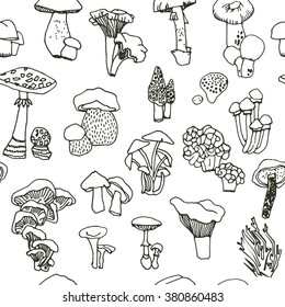 Set, collection  of mushrooms.Hand drawn outline illustration. Seamless pattern for design, postcards, wallpaper, book design.