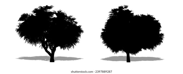 Set or collection of Neem trees as a black silhouette on white background. Concept or conceptual vector for nature, planet, ecology and conservation, strength, endurance and  beauty