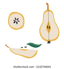 Set collection of pear. A cut pear, a piece of pear, seeds. Vector stock illustration isolated on white background. 