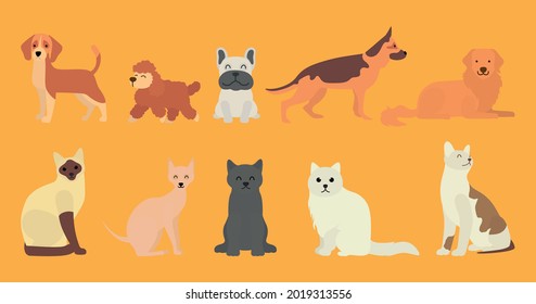 Set collection of pet animal, dogs and cats flat vector isolated design concept