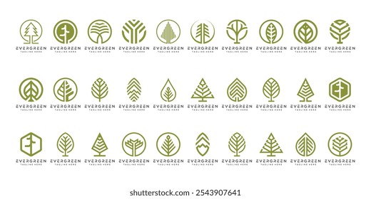 Set of Collection Pine Tree Logo Design, for Evergreen Concept Vector Template.
