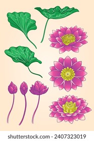 Set Collection of Pink Lotus Hand Drawing Design