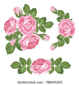 Set collection of pink roses with leaves isolated on white background. Vector illustration. Can use for greeting cards, wedding invitations, patterns.