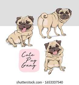 Set collection. Portrait of a three Funny Cartoon pugs puppies Characters. Hand drawn style print. Vector illustration.