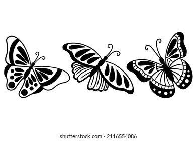 Set of Collection pretty Butterfly butterflies Animal Hand Drawn illustration