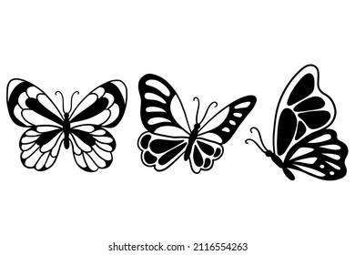 Set of Collection pretty Butterfly butterflies Animal Hand Drawn illustration