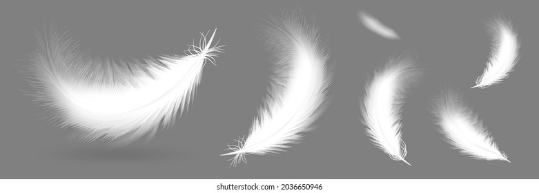 Set collection of realistic fying fluffy soft feather in different position with shadow silhouette blurred defocused feather from far. Vector illustration