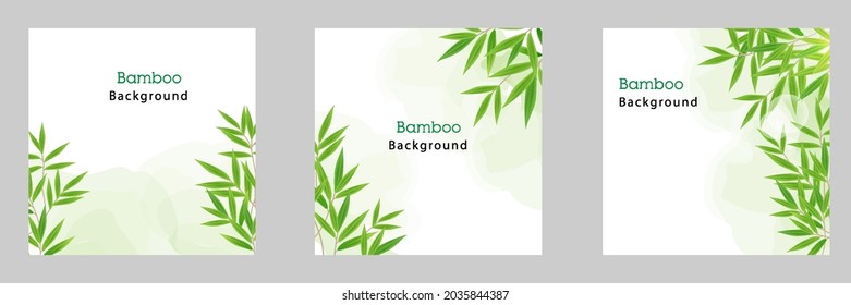 Set collection of realistic green bamboo tree leaf with watercolor on white square background. Vector illustration