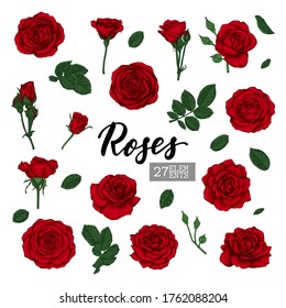 Set Collection Red Roses and leaves realistic isolated on white background. design elements for greeting card and invitation of the wedding, birthday, Valentine's Day, mother's day and other holiday