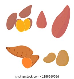 set collection root vegetable vector illustration