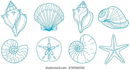 Set Collection of sea shells and starfish on white background eps 10