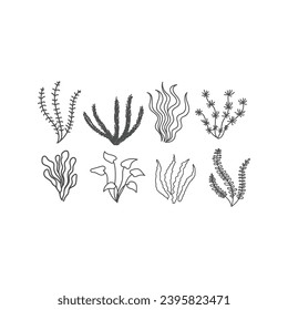 Set Collection of Seaweed Kelp Algae Moss Vector Illustration