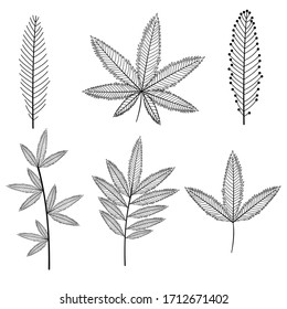 Set, collection, sketch of leaves and twigs with a black outline on a white background, vector illustration, design