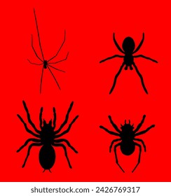 Conjunto de ilustración de silueta de vector de araña aislado sobre fondo negro. Signo de tatuaje de viuda negra. Papi patas largas araña, Falangium opiliones. Símbolo de tarántula.