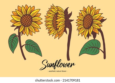 Set Collection Sunflower Summer Floral nature plant Aesthetic hand drawn Romantic illustration