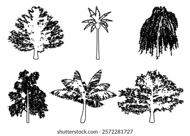Set or collection of trees as a black line drawing silhouette on white background. Concept or conceptual vector for nature, planet, ecology conservation, strength, endurance and  beauty