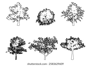 Set or collection of trees as a black line drawing silhouette on white background. Concept or conceptual vector for nature, planet, ecology conservation, strength, endurance and  beauty