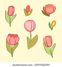 set of collection tulips flower vector IIlustrations for elements, clipart, sticker