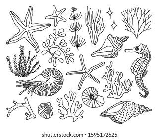 Set Collection Underwater Creatures Seashells Seaweed Stock Vector ...