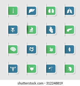 Set, a collection of unique paper stickers human organs medicine