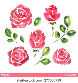 Set collection. Vector. Beautiful roses. Hand painting artwork. Happy Valentines day. Love concept for wedding invitations card ticket, congratulations, branding, logo. Gift for young girl, women