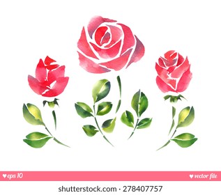 Set collection. Vector. Beautiful roses. Hand painting artwork. Happy Valentines day. Love concept for wedding invitations card ticket, congratulations, branding, logo. Gift for young girl, women