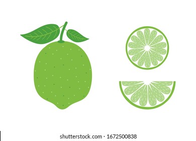 Set, collection of vector cartoon style green lime with leaves and lime slices isolated on white background.