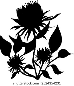 Set collection vector illustration of silhouette black and white wild flower