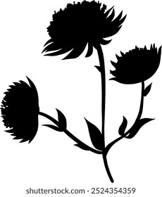 Set collection vector illustration of silhouette black and white wild flower