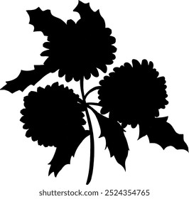 Conjunto de Ilustración vectorial de colección de silueta de flor silvestre en blanco y negro