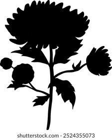 Conjunto de Ilustración vectorial de colección de silueta de flor silvestre en blanco y negro