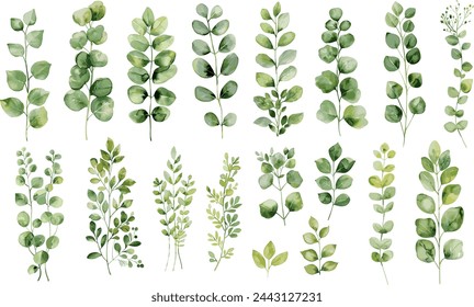 Set collection vector illustration watercolor green leaves on transparent background. Vector EPS 10	