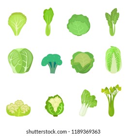 set collection vegetable illustration vector