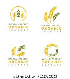 Set Collection Wheat Paddy Logo