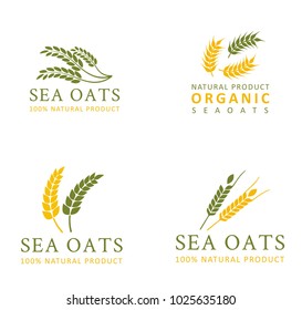 Set collection wheat paddy logo