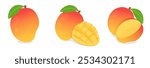 set collection of whole, half sliced dice cut fresh mango fruit with leaf vector illustration, healthy sweet fruits