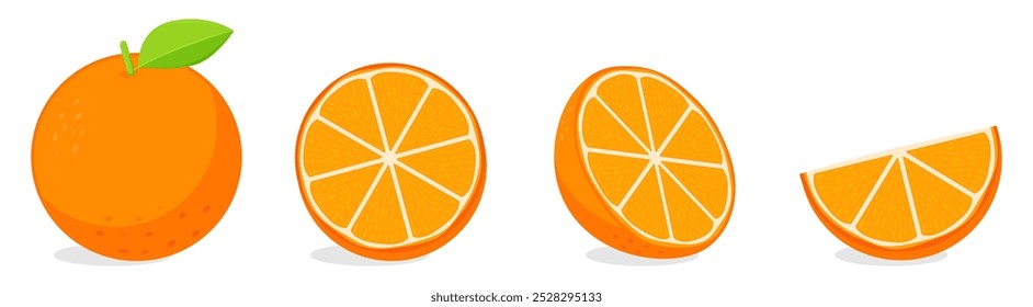 set collection whole and half sliced orange fruit vector illustration, healthy sweet fruits