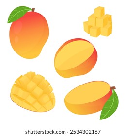 set collection of whole and half sliced dice cut fresh mango fruit with leaf vector illustration, healthy sweet fruits