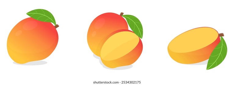 set collection of whole and half sliced fresh mango fruit with leaf vector illustration, healthy sweet fruits