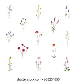 Set Collection of Wild Flowers Vektorgrafik