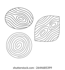 Set of collection wood grain vectors with tree rings, planks, and bark textures. Wooden logs textures. Wood concepts graphics, lumber circles top view. Vintage outline tree rings