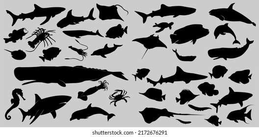 set of collections of black and white silhouettes of sea animals fish, sea life, marine life, seafood, clipart isolated on a white background