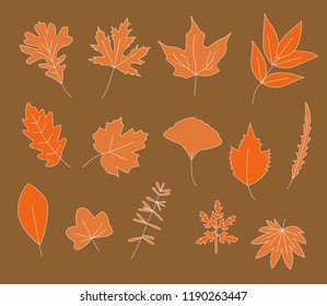 Set of color autumn leaves. Vector illustration,Vector illustration set of 14 autumn leaves.
