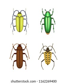 Set of color beetles icons