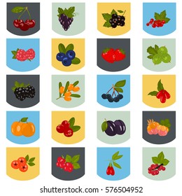 Set of color berries icons in cartoon style for web and mobile design