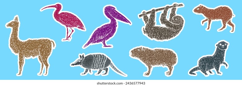 Set color birds and animals south america in hand drawn vintage style. Anteater, tapir, capybara, otter, pelican, armadillo, ibis, sloth, guanaco, agouti. Sketch vector illustration for sticker. 