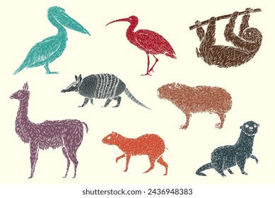 Set color birds and animals south america in hand drawn vintage style. Anteater, tapir, capybara, otter, pelican, armadillo, ibis, sloth, guanaco, agouti. Sketch vector illustration. 